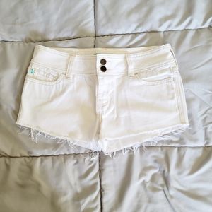 White Hot Hollister Shorts